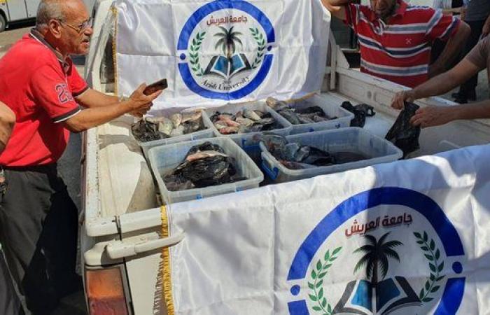 الهلال الأحمر المصري يدفع بقوافل «زاد العزة» محملة بخبز طازج إلى غزة