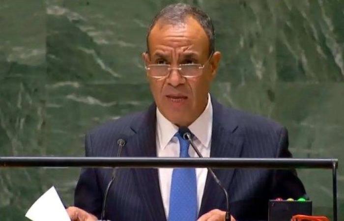 مصر ترحب بإعلان المملكة المتحدة اعتزامها الاعتراف بالدولة الفلسطينية