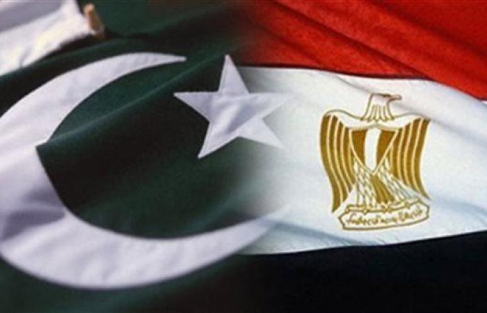 مصر وباكستان تؤكدان ضرورة توسيع الاعتراف بالدولة الفلسطينية المستقلة