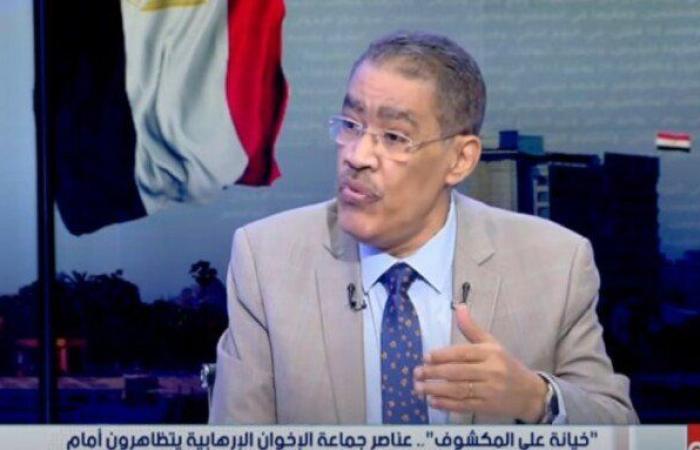 ضياء رشوان: تظاهرات «الحركة الإسلامية» بتل أبيب ضد مصر كشفت نواياهم