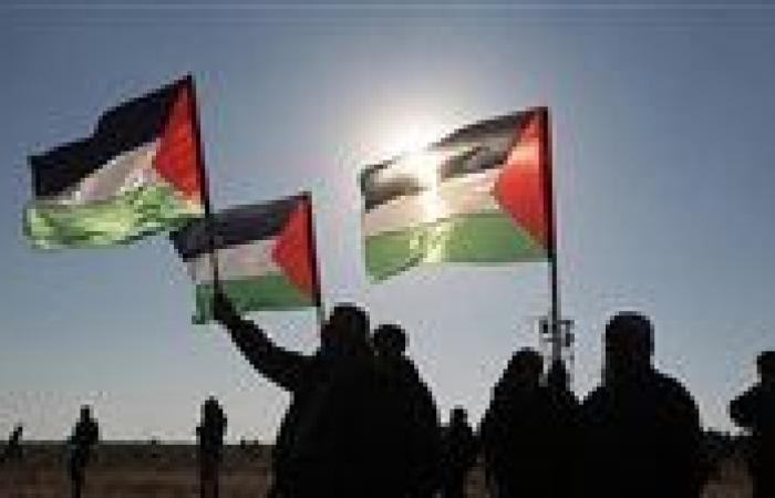 دولة أوروبية جديدة تعلن اعتزامها الاعتراف بدولة فلسطين في سبتمبر