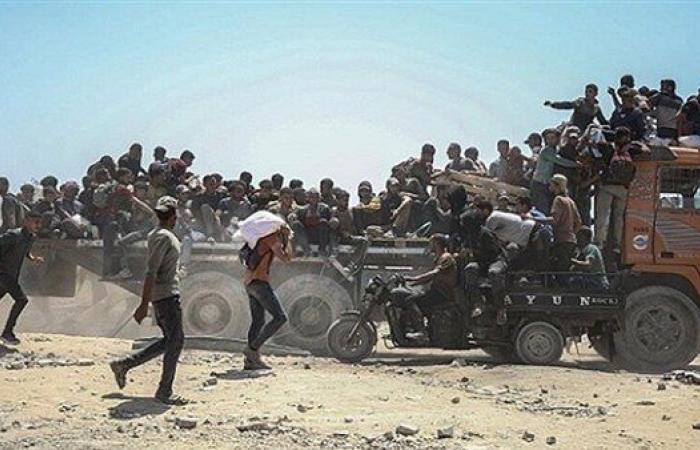 سيناتور أمريكية: حكومة نتنياهو خلقت كارثة تاريخية في غزة