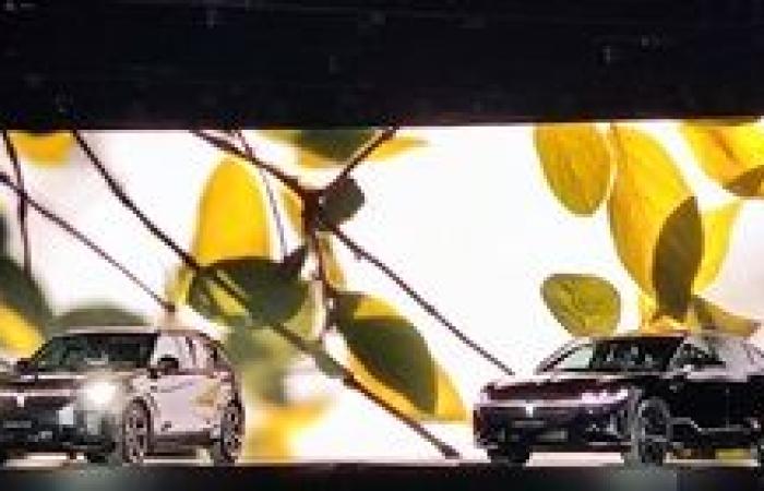 السوق المصرية للسيارات تستقبل اللاعب الجديد (شركة SN Automotive)