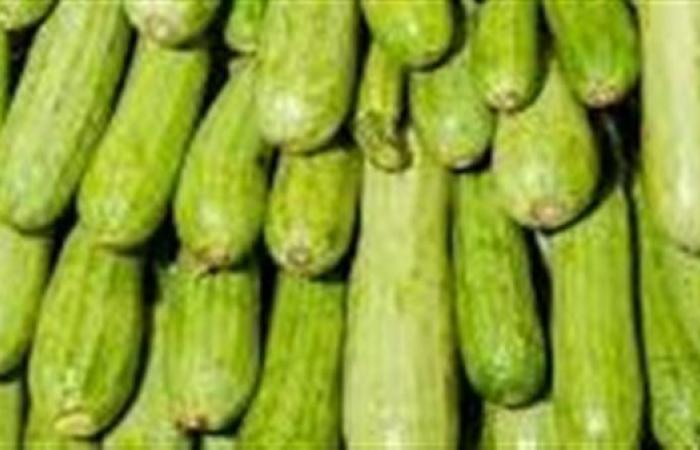 لكل ربة منزل.. أفضل الطرق لتخزين الكوسا والحفاظ عليها من التلف