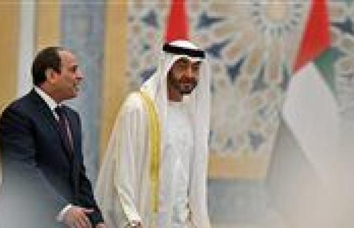 مسؤول إماراتي يتحدث عن أكبر مشروع من نوعه عبر مصر في غزة