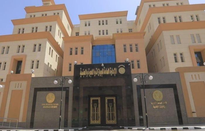 لـ كبار السن وذوي الهمم.. «الجوازات» تواصل إجراءات تسهيل الحصول على خدماتها