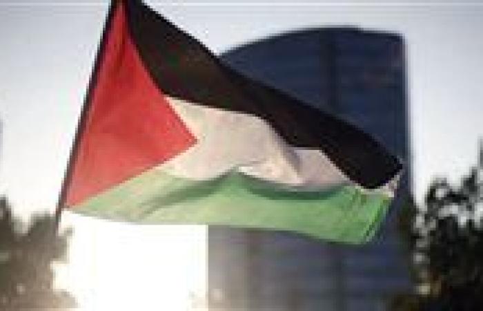 "اعتراف أوروبي يجتاح العالم".. العمري يكشف عن تحولات دولية بارزة في ملف فلسطين