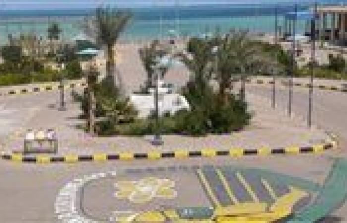 رئيس جامعة الغردقة: الطلاب الذين يعملون أثناء دراستهم 90%