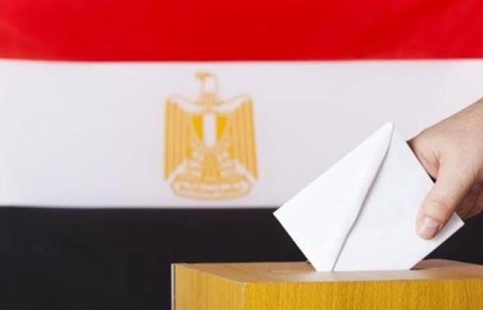 انتخابات الشيوخ 2025| غدًا.. بدء تصويت المصريين بالخارج