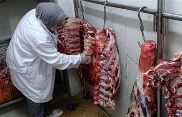 "الزراعة": ضبط 120 طن لحوم غير صالحة للاستخدام الآدمي خلال يوليو 2025