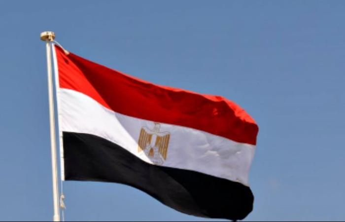 برلمانية: استهداف سفارات مصر بالخارج لن يثنيها عن موقفها تجاه قضية فلسطين