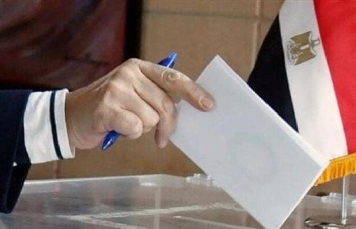 انطلاق انتخابات مجلس الشيوخ 2025 للمصريين بالخارج من نيوزيلندا