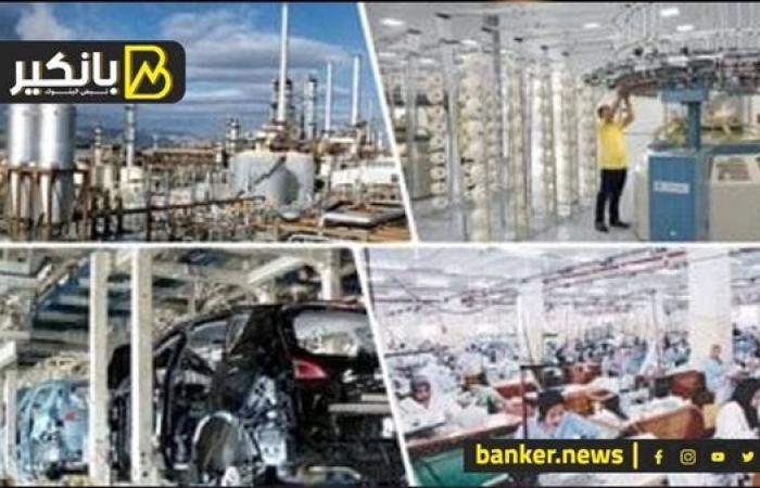أرقام ضخمة وفرص حقيقية.. 3 مصانع ممكن يغيروا شكل الصناعة في مصر؟