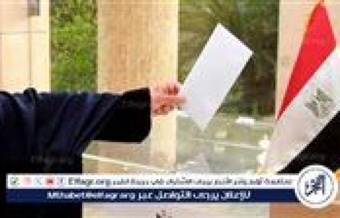 إقبال ملحوظ من الجالية المصرية في أوروبا على صناديق انتخابات مجلس الشيوخ 2025