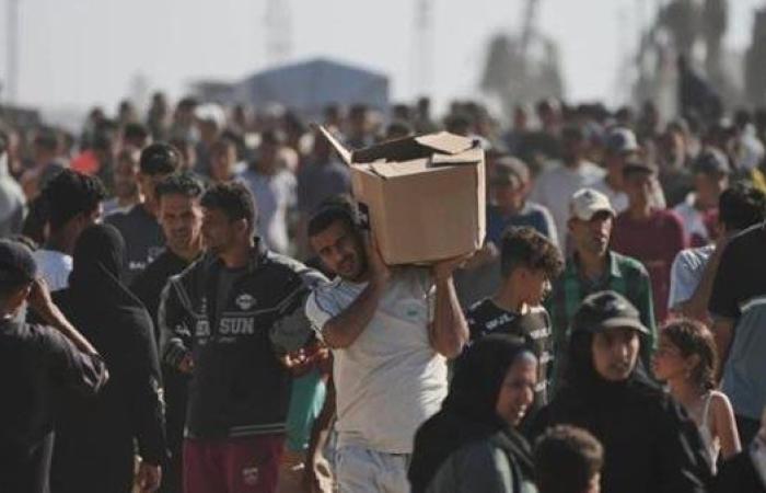 الأردن والإمارات وألمانيا وفرنسا وإسبانيا ينفذون أكبر إسقاط للمساعدات في غزة