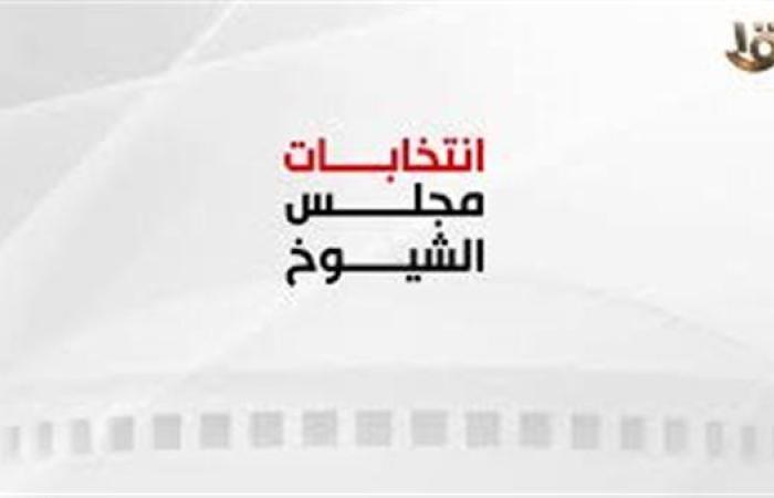 مراسل «القنوات الإخبارية» : وزير الخارجية أول من أدلى بصوته بالعاصمة الأمريكية