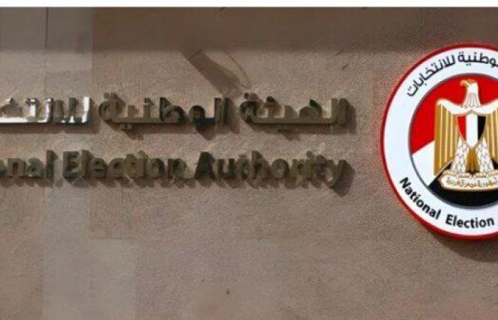 انتخابات الشيوخ 2025.. سفير مصر بأثيوبيا: التصويت فى أديس أبابا يسير بشكل جيد