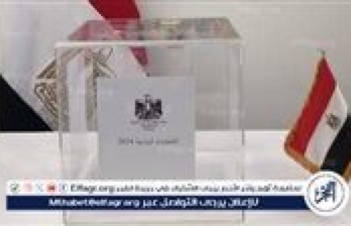 عاجل| بدء الانتخابات في أستراليا.. المصريون في الخارج يدلون بأصواتهم في انتخابات مجلس الشيوخ 2025