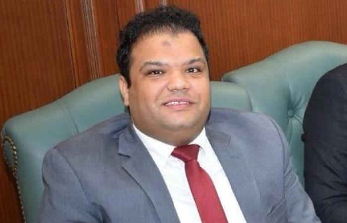 محمود خليل ضمن اللجنة العليا لرصد الأداء الإعلامي في انتخابات الشيوخ