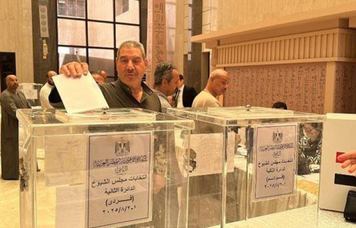 وزير الخارجية: لا شكاوى أوخروقات فى انتخابات مجلس الشيوخ بالخارج ونتابع سير التصويت