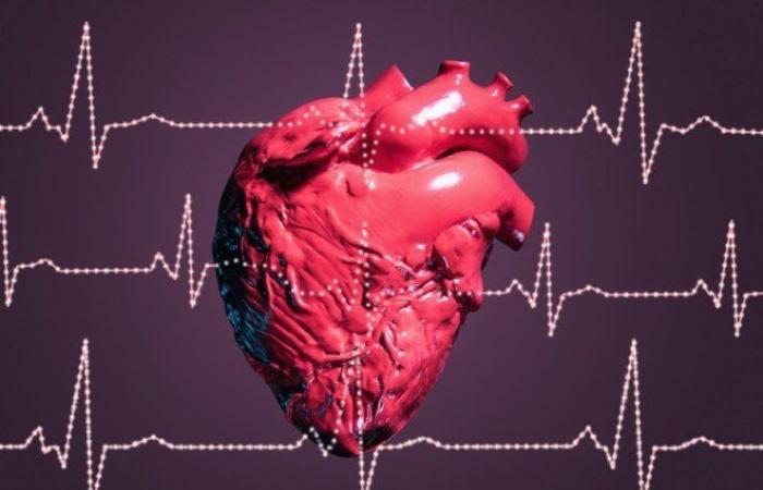 أمراض القلب لا يسببها الكوليسترول وحده… عوامل خفية تهدد صحتك القلبية احذر منها