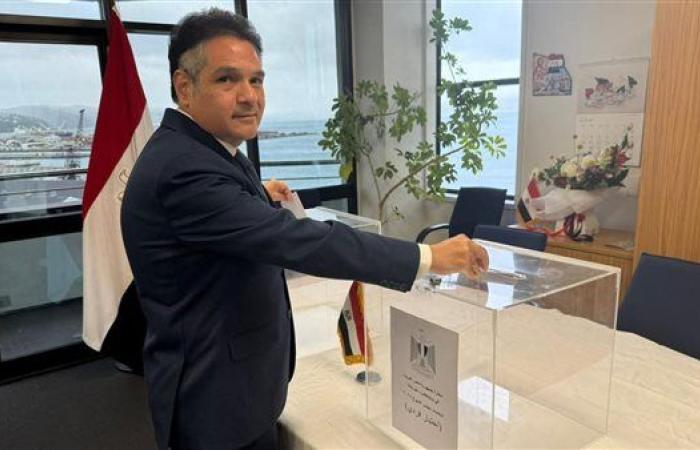انتخابات الشيوخ 2025| استمرار التصويت للمصريين بالخارج داخل 14 بلد وغلق الباب في باقي الدول