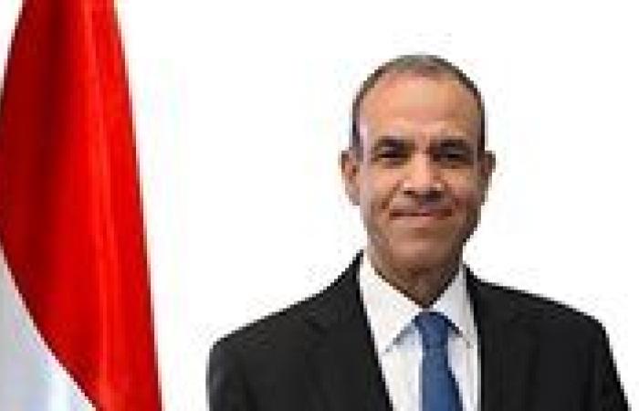 وزير الخارجية يشدد على رفض مصر الكامل لتهجير الفلسطينيين من أرضهم