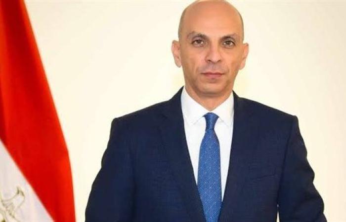 الخارجية: حملات التشويه ضد مصر ممنهجة وموقفنا ثابت تجاه غزة