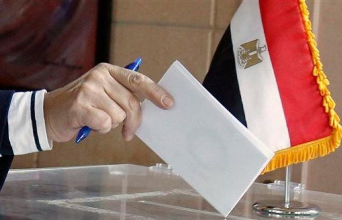 انطلاق التصويت في انتخابات مجلس الشيوخ للمصريين بالخارج