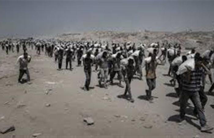 خبير علاقات دولية: البرلمان الليبي أغلق الباب أمام أي صفقة على حساب الفلسطينيين
