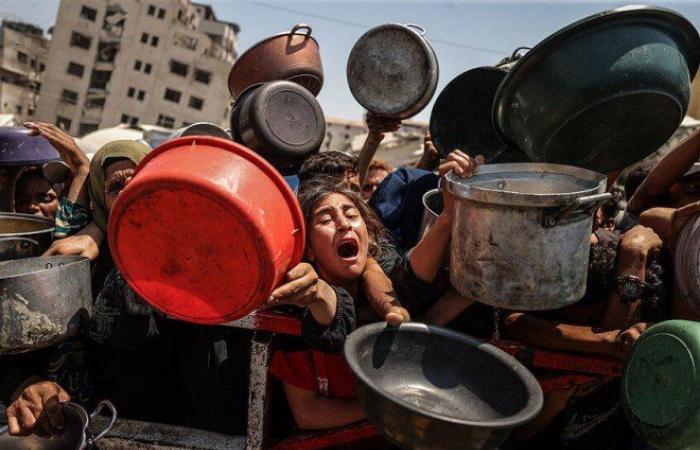 "هيومن رايتس ووتش": نظام المساعدات الإسرائيلي في غزة تحوّل إلى مصيدة للموت