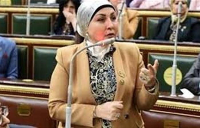 وكيل لجنة المشروعات بالبرلمان: مصر ستظل تدافع عن فلسطين.. ولن تنال منها حملات التشويه والتحريض