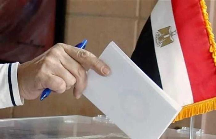 بدء عملية تصويت المصريين باليابان وكوريا الجنوبية في انتخابات مجلس الشيوخ