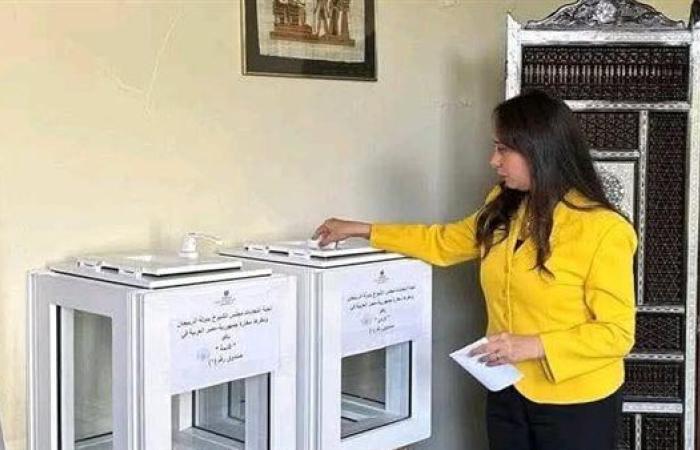 انتخابات مجلس الشيوخ.. التنسيقية: استمرار توافد المصريين على لجان الاقتراع في أذربيجان
