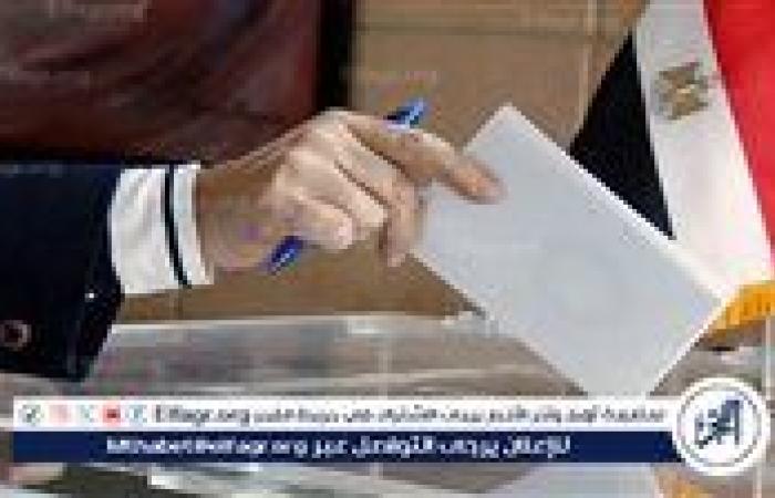 مع بدء انطلاقها.. ضوابط تصويت المصريين بالخارج في انتخابات مجلس الشيوخ 2025