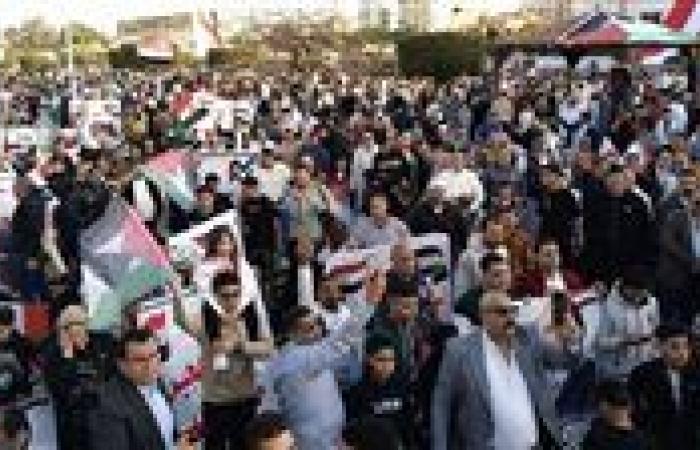 العكاري:  مصر الدولة الوحيدة في العالم التي لم تنسحب من دعم القضية الفلسطينية