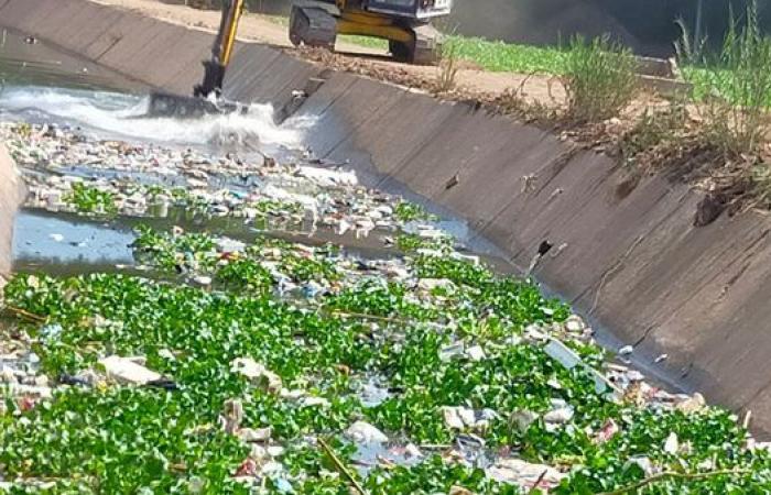 زراعة المنوفية: تطهير ما يزيد عن 62 كيلومترًا من المساقي الخصوصية