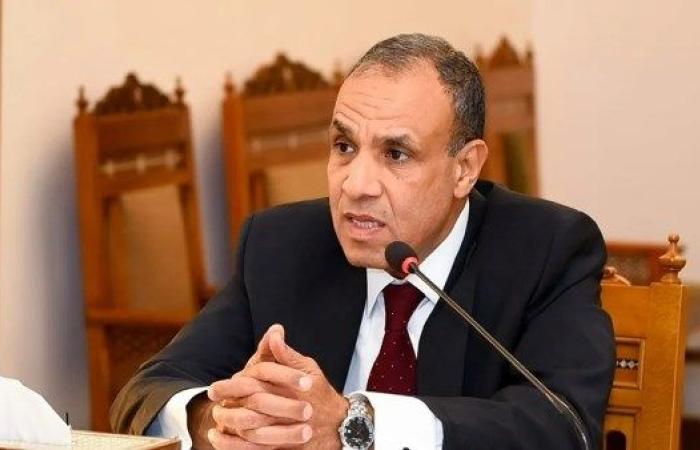وزير الخارجية: مصر ستبقى في طليعة الداعمين للشعب الفلسطيني