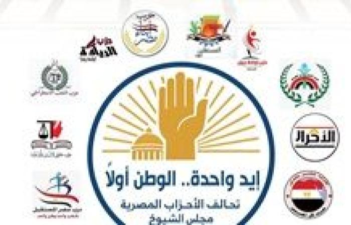 مدحت بركات متحديًا الشائعات: تحالف الأحزاب المصرية يراقب انتخابات الشيوخ بالخارج لحظة بلحظة ورسالتنا أن الوطن أولاً
