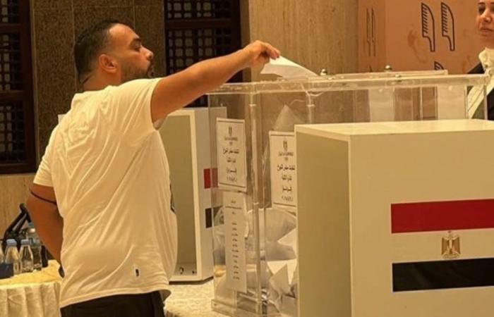 انتظام التصويت فى الخارج وانتشار واسع للمقار الانتخابية