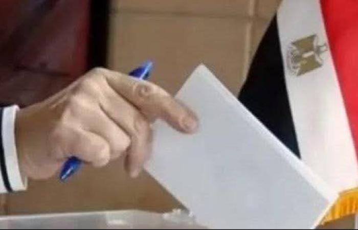 التنسيقية: إغلاق اللجنة الانتخابية في الهند بعد مشاركة المصريين في انتخابات الشيوخ