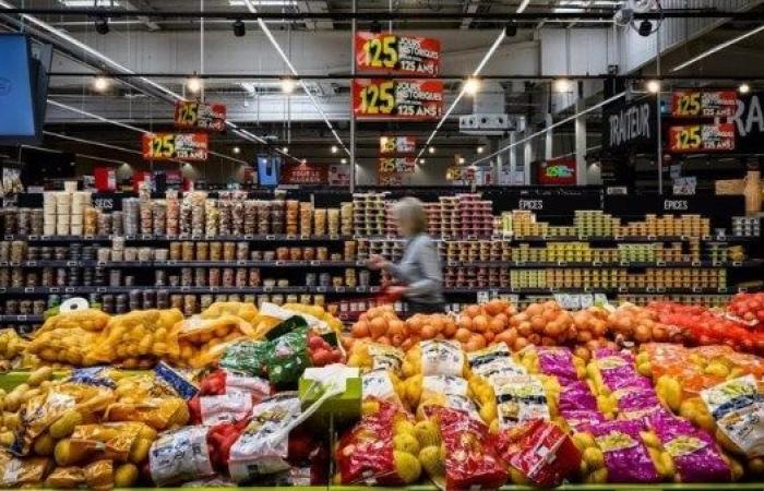 وزارة الزراعة تطلق تخفيضات تصل 30% على السلع الغذائية فى منافذها
