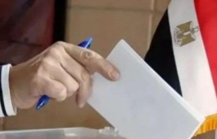 المصريون في نيوزيلندا يدلون بأصواتهم في اليوم الثاني لانتخابات مجلس الشيوخ 2025