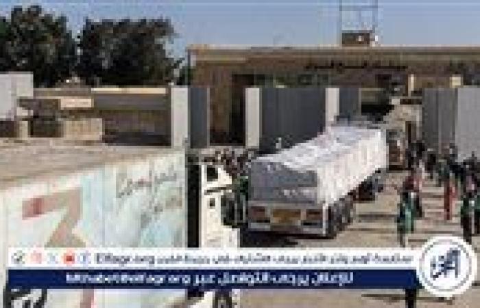 إعلام رسمي: شاحنتان محملتان بالوقود ستدخلان قطاع غزة
