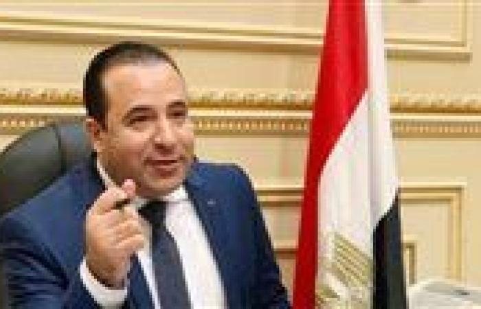 اتصالات النواب: بعض التيك توكرز يحققون 20 مليون جنيه سنويا