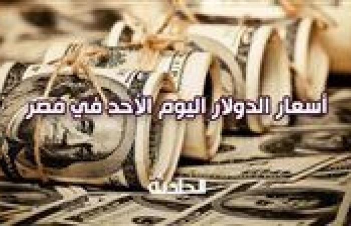 سعر الدولار اليوم الأحد في مصر.. استقرار ملحوظ في بداية تعاملات البنوك