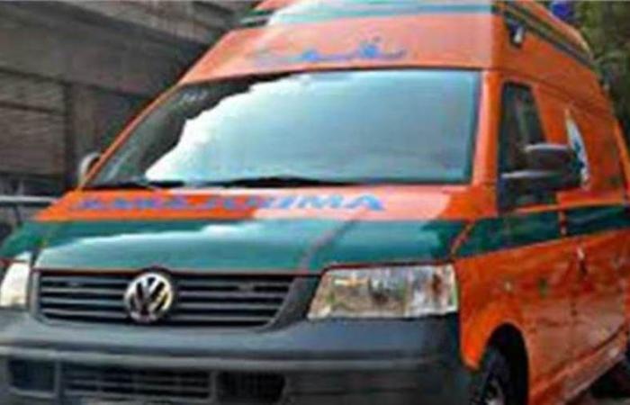 مصرع مسن فى مشاجرة بشربين بالدقهلية