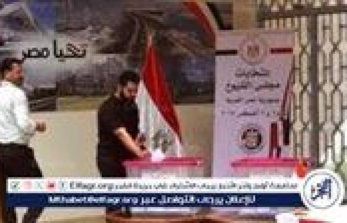 عاجل- المحافظات ترفع درجة الاستعداد القصوى لانطلاق انتخابات مجلس الشيوخ 2025