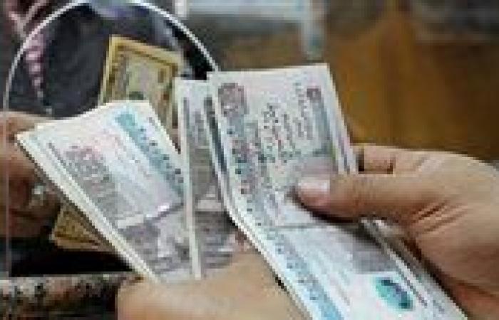 زيادة المرتبات في يوليو.. كم تحصل بحسب وظيفتك؟