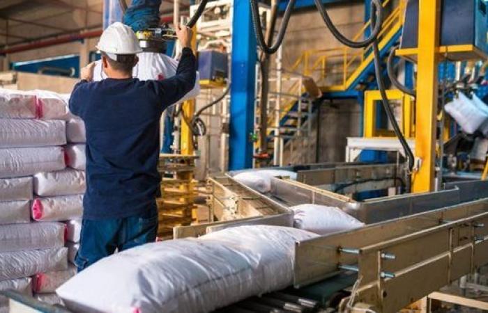 صادرات الصناعات الكيماوية المصرية تحقق نموًا بنسبة 13% خلال النصف الأول من 2025